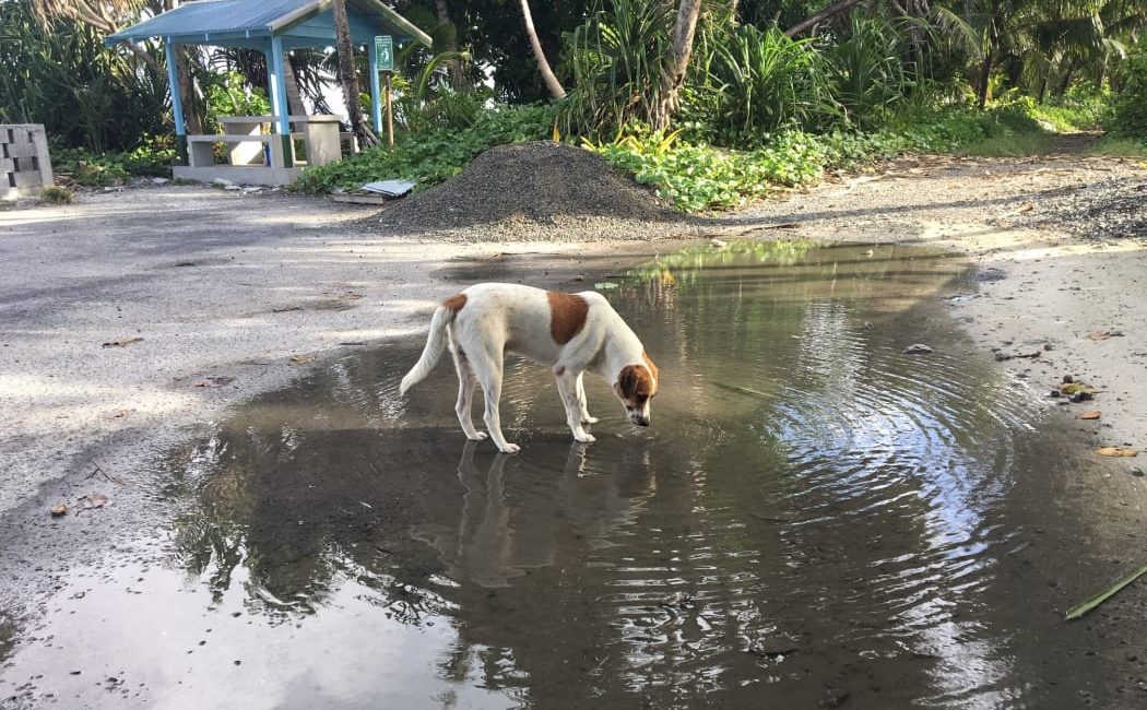 Some rain, but not enough to break Tuvalu's drought Pasifika TV