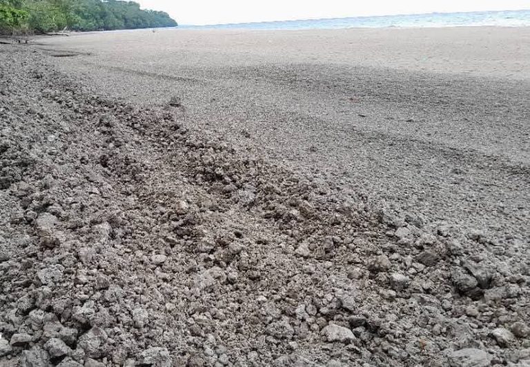Huge pumice rafts from volcano hit Manus Island coast - Pasifika TV